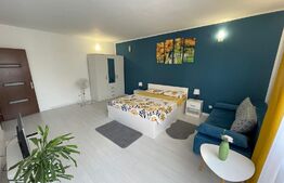 Garsoniera decomandata 53mp, zona Brestei 