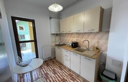 Garsoniera decomandata 53mp, zona Brestei 