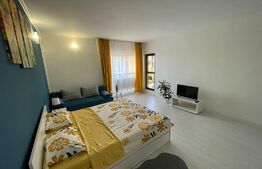 Garsoniera decomandata 53mp, zona Brestei 