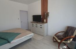 Apartament de 2 camere, Curte, Ac, Centrala, Parcare, Zona Magnolia