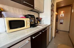 Apartament 2 camere semidecomandat, Craiovița Nouă (zona Orizont)