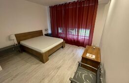 Apartament 3 camere 160mp+curte 300mp LUX, Aer conditionat, centrala termica, zona Selgros