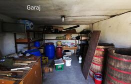 Ocazie! Casă S+P+E, 300 m² utili și 1086 m², teren deschidere stradală, Malu MARE!