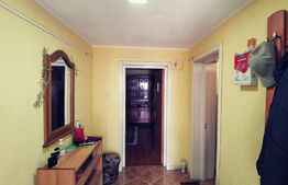 Ocazie! Casă S+P+E, 300 m² utili și 1086 m², teren deschidere stradală, Malu MARE!