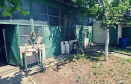 Ocazie! Casă S+P+E, 300 m² utili și 1086 m², teren deschidere stradală, Malu MARE!