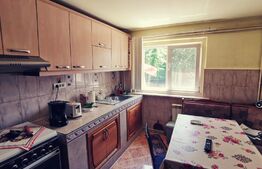 Ocazie! Casă S+P+E, 300 m² utili și 1086 m², teren deschidere stradală, Malu MARE!