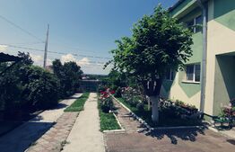 Ocazie! Casă S+P+E, 300 m² utili și 1086 m², teren deschidere stradală, Malu MARE!