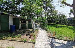 Ocazie! Casă S+P+E, 300 m² utili și 1086 m², teren deschidere stradală, Malu MARE!