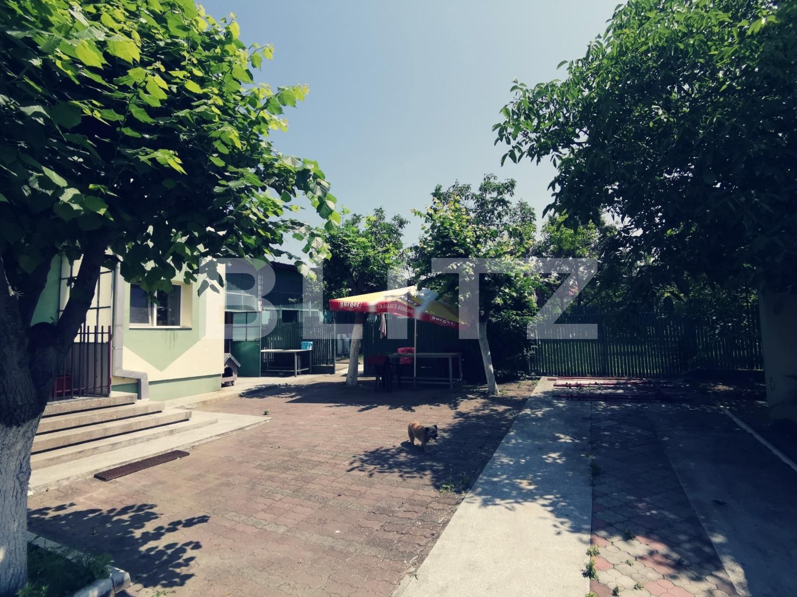 Casa de vânzare 8 camere Malu Mare - 121898CV | BLITZ Craiova | Poza3