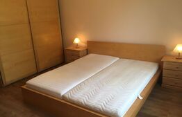 Apartament de 3 camere, centrala termica, aer conditionat, zona 1 Mai