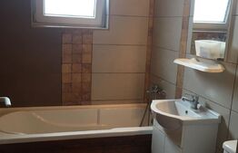 Apartament de 3 camere, centrala termica, aer conditionat, zona 1 Mai