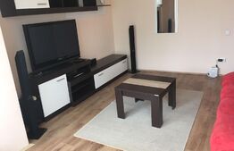Apartament de 3 camere, centrala termica, aer conditionat, zona 1 Mai
