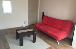 Apartament de 3 camere, centrala termica, aer conditionat, zona 1 Mai