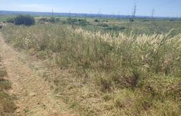 Teren 12.000 mp extravilan, parcelabil ,zona Șimnicul de Jos 