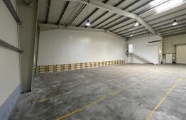 Spatiu industrial, Hala 360 mp, zona Ford