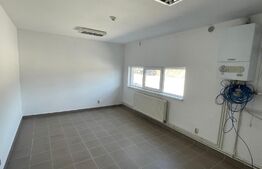Spatiu industrial, Hala 360 mp, zona Ford