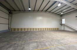 Spatiu industrial, Hala 360 mp, zona Ford
