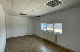 Spatiu industrial, Hala 360 mp, zona Ford