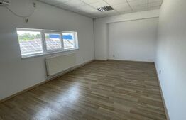 Spatiu industrial, Hala 360 mp, zona Ford