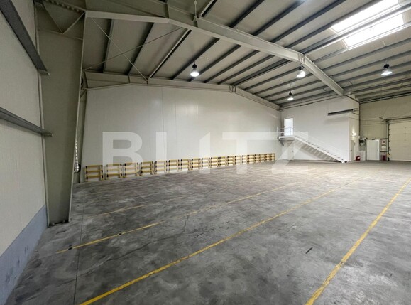 Spațiu industrial de închiriat Carcea  - 122128SII | BLITZ Craiova | Poza1