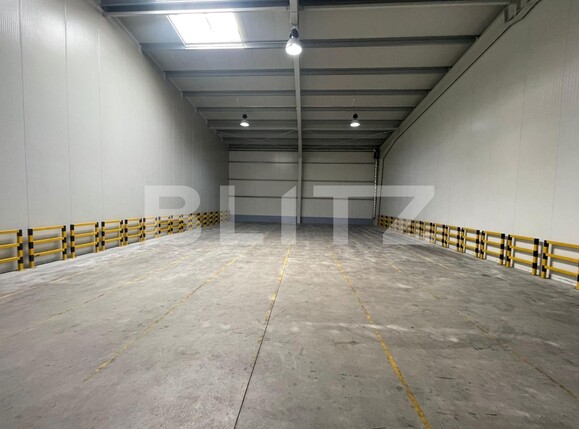 Spațiu industrial de închiriat Carcea  - 122128SII | BLITZ Craiova | Poza7