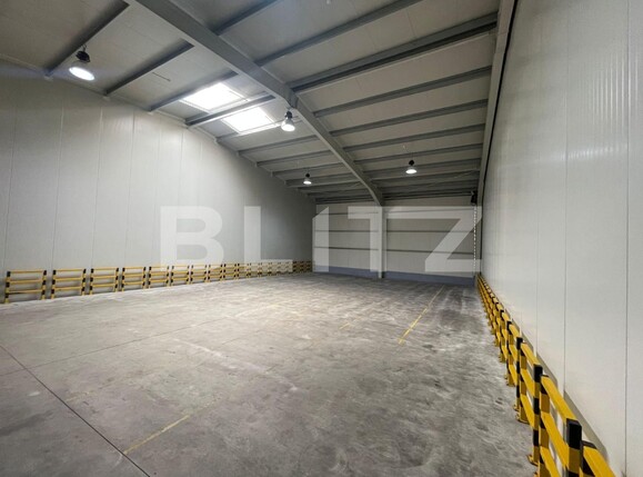 Spațiu industrial de închiriat Carcea  - 122128SII | BLITZ Craiova | Poza3