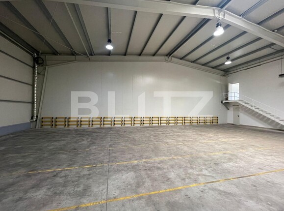 Spațiu industrial de închiriat Carcea  - 122128SII | BLITZ Craiova | Poza4
