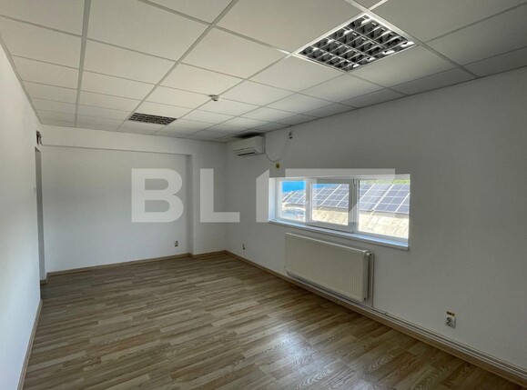 Spațiu industrial de închiriat Carcea  - 122128SII | BLITZ Craiova | Poza5
