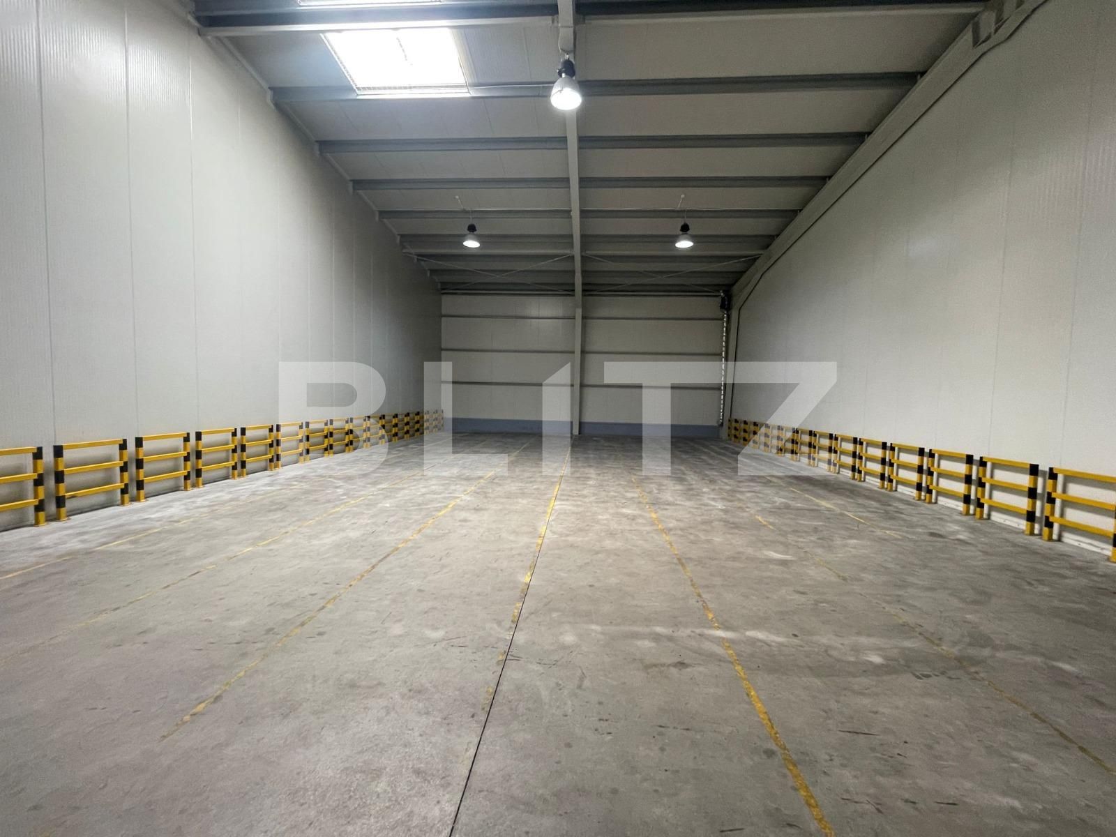 Spațiu industrial de închiriat Carcea  - 122128SII | BLITZ Craiova | Poza7