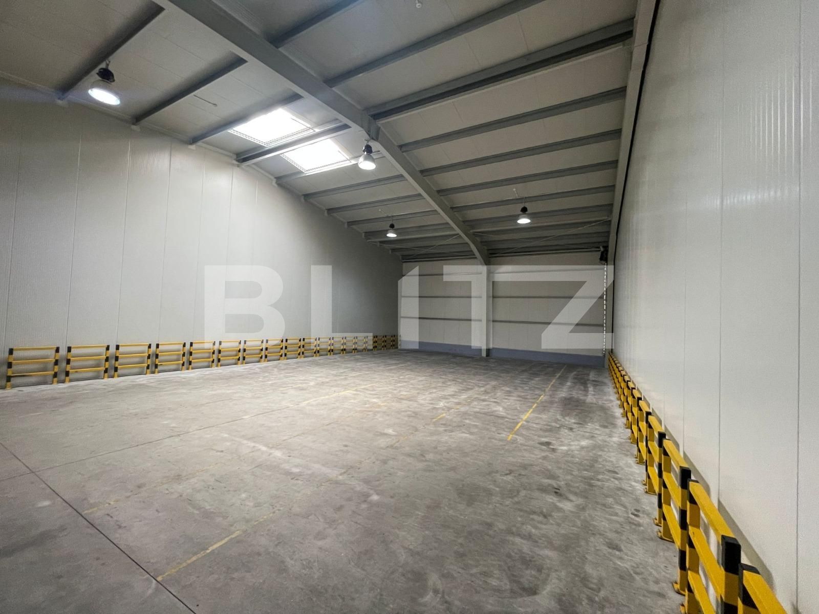 Spațiu industrial de închiriat Carcea  - 122128SII | BLITZ Craiova | Poza3