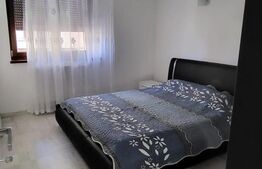 Apartament 2 camere, centrala termica, aer conditionat, zona Centrala