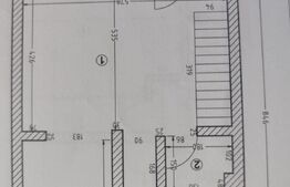 Casă 90 mp, teren 300 mp, zona Damila