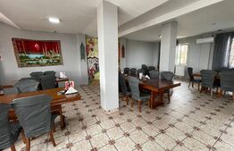 Proprietate tip Hotel 370 mp, 3000 mp teren, Isalnita