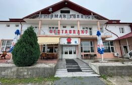 Proprietate tip Hotel 370 mp, 3000 mp teren, Isalnita