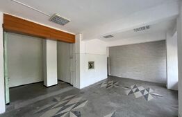 Spatiu comercial, 100 mp, zona Lapus-Arges