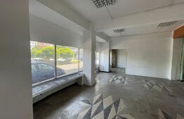 Spatiu comercial, 100 mp, zona Lapus-Arges