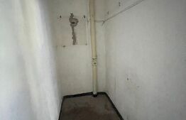 Spatiu comercial, 100 mp, zona Lapus-Arges