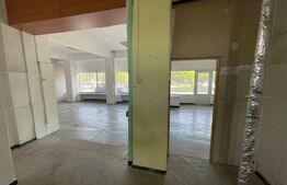 Spatiu comercial, 100 mp, zona Lapus-Arges