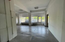 Spatiu comercial, 100 mp, zona Lapus-Arges