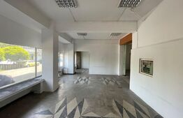 Spatiu comercial, 100 mp, zona Lapus-Arges