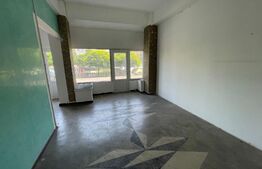 Spatiu comercial, 100 mp, zona Lapus-Arges