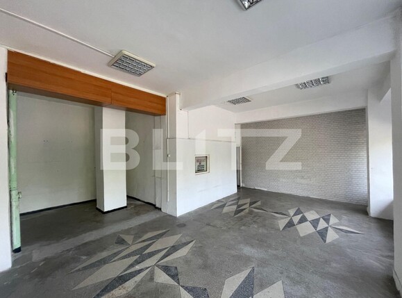 Spațiu comercial de închiriat Lapus Arges - 122591SIC | BLITZ Craiova | Poza3