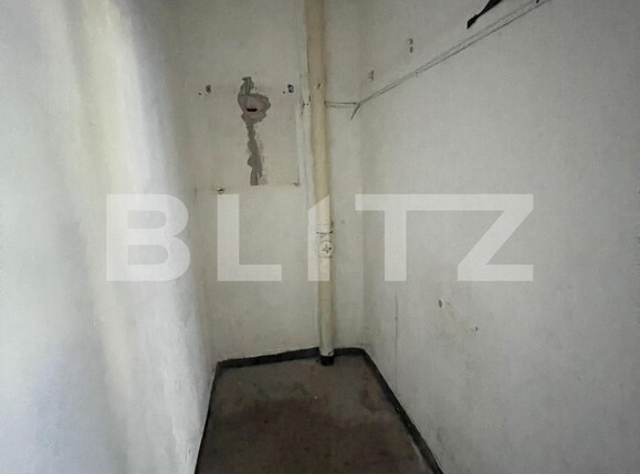 Spațiu comercial de închiriat Lapus Arges - 122591SIC | BLITZ Craiova | Poza6