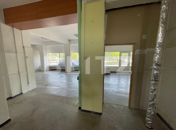 Spațiu comercial de închiriat Lapus Arges - 122591SIC | BLITZ Craiova | Poza5