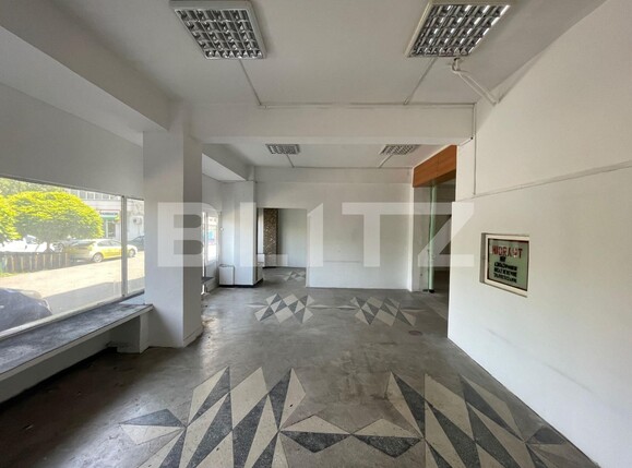 Spațiu comercial de închiriat Lapus Arges - 122591SIC | BLITZ Craiova | Poza2