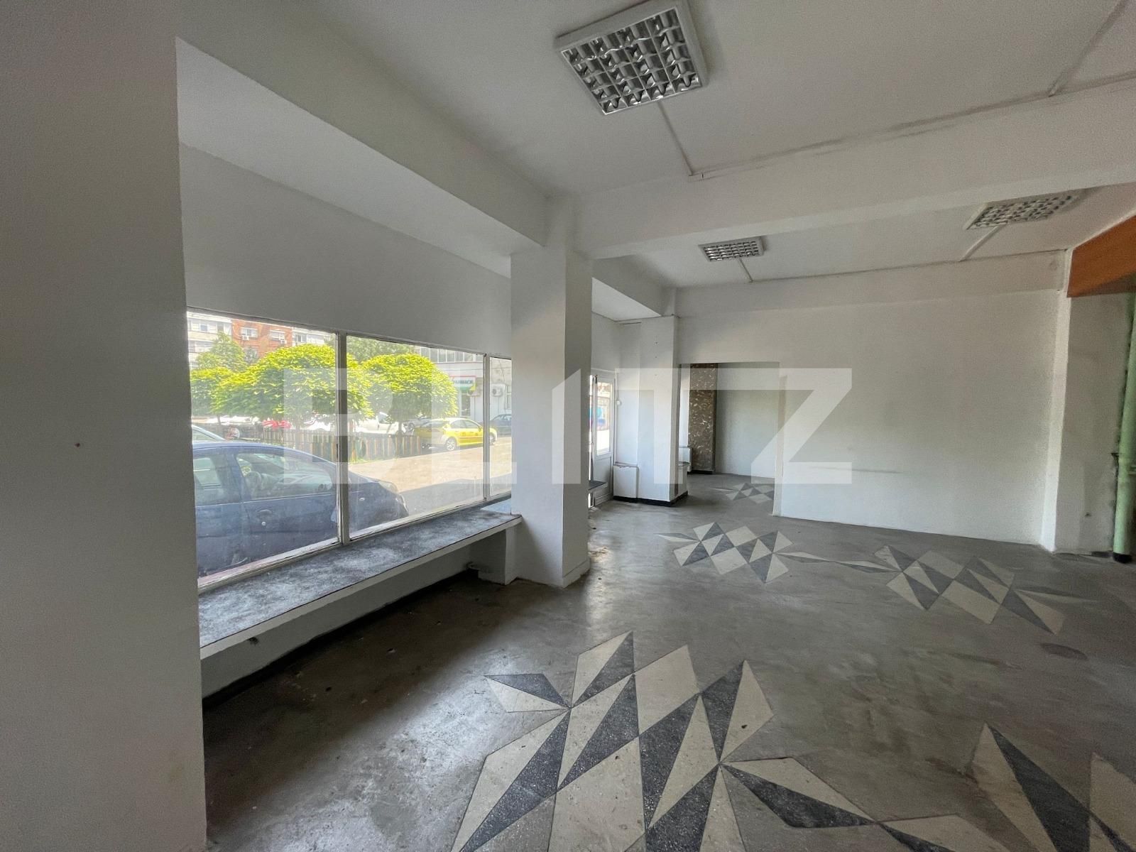 Spațiu comercial de închiriat Lapus Arges - 122591SIC | BLITZ Craiova | Poza7