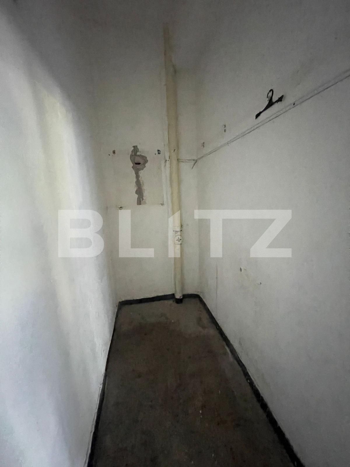 Spațiu comercial de închiriat Lapus Arges - 122591SIC | BLITZ Craiova | Poza6