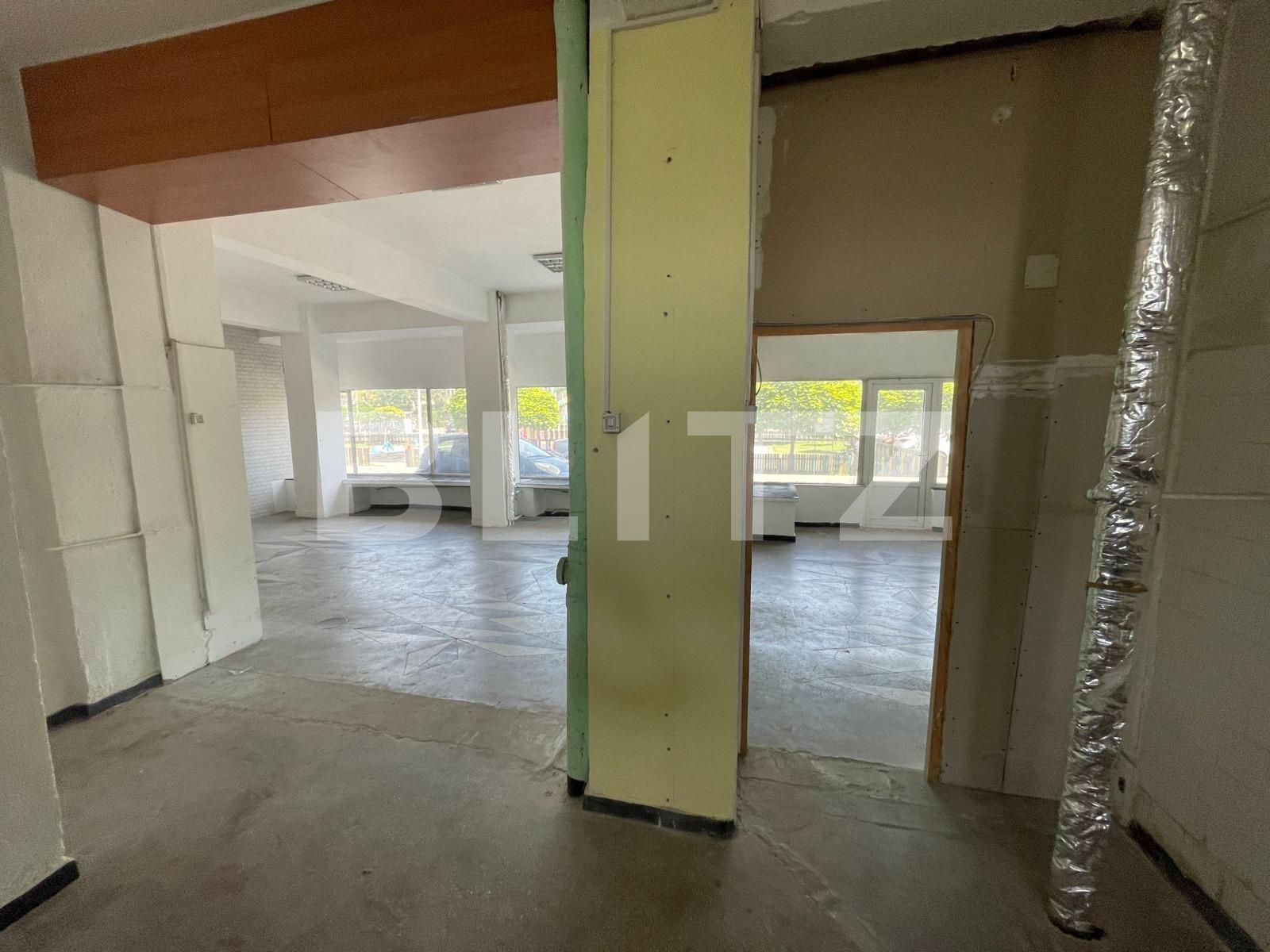 Spațiu comercial de închiriat Lapus Arges - 122591SIC | BLITZ Craiova | Poza5