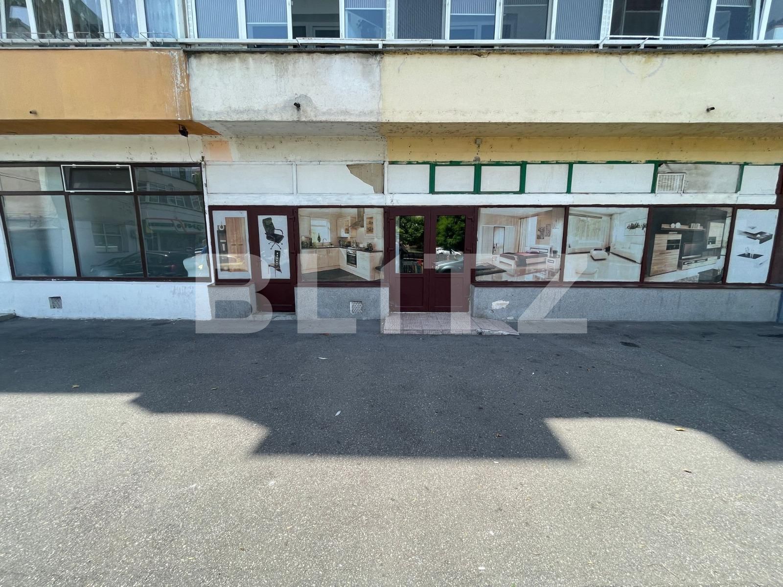 Spațiu comercial de închiriat Lapus Arges - 122591SIC | BLITZ Craiova | Poza8