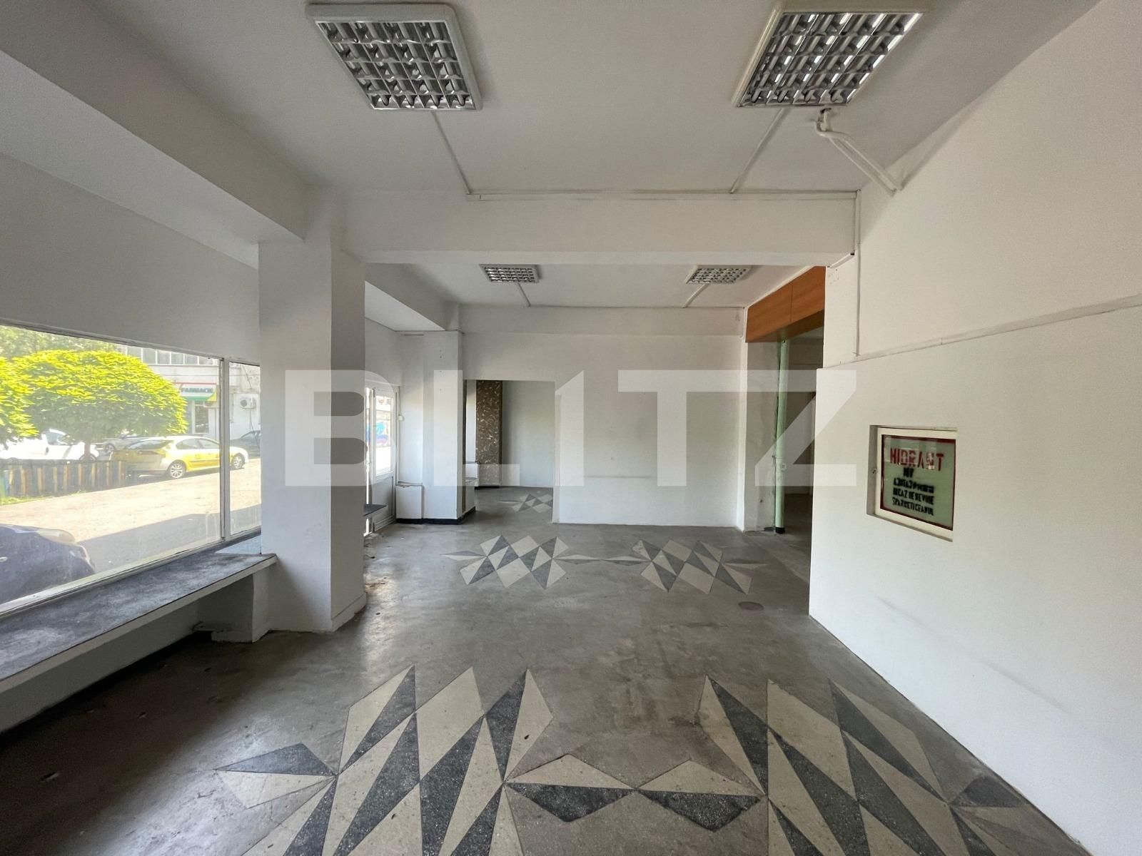 Spațiu comercial de închiriat Lapus Arges - 122591SIC | BLITZ Craiova | Poza2